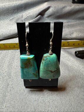 Source Unknown Turquoise Green Drop Earrings